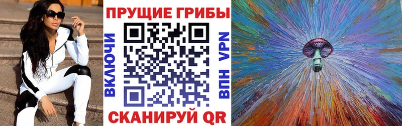 Псилоцибиновые грибы Magic Shrooms  Купить закладки  Чёрмоз 